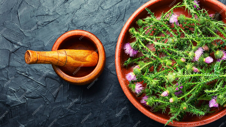 Jatamansi: The Himalayan Root Turning Hair Fall into Flourish – Keshananda